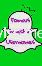 nomi utente famosi di Snapchat - tyga