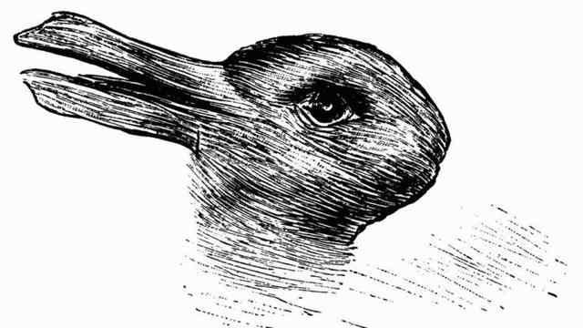 je to kačka alebo králik? to, čo vidíte, o vás veľa hovorí